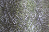 Hawkswick fibreglass roof work